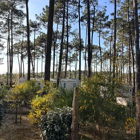 Mobilhome 3ch Confort - Les Dunes De Contis Kompleks wypoczynkowy