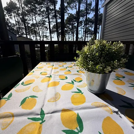 Parco vacanze Mobilhome 3ch Confort - Les Dunes De Contis