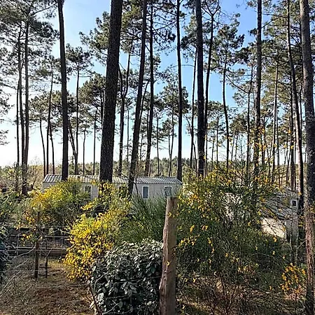 Mobilhome 3ch Confort - Les Dunes De Contis * Saint-Julien-en-Born